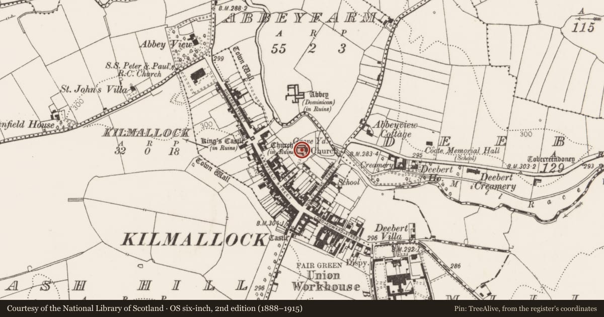 Ordnance Survey six-inch map, 2nd edition (1888–1915) covering the location of Church, Kilmallock, County Limerick, with a pin at the register's coordinates