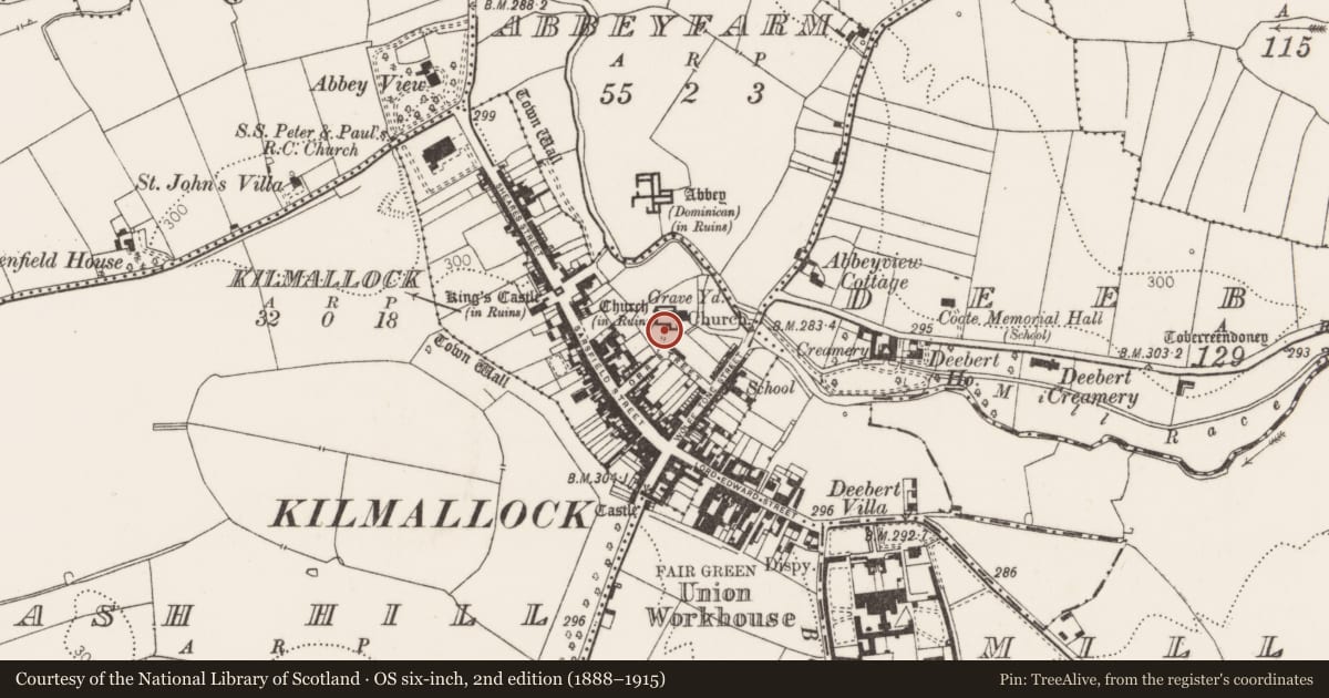 Ordnance Survey six-inch map, 2nd edition (1888–1915) covering the location of Graveyard, Kilmallock, County Limerick, with a pin at the register's coordinates