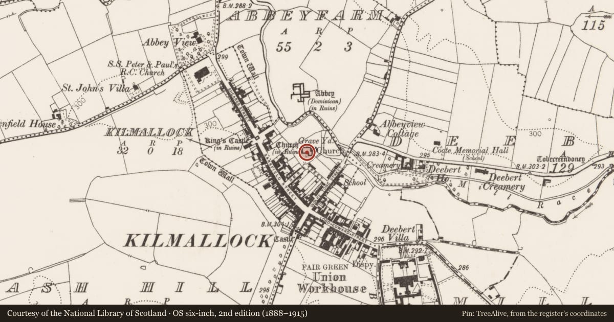 Ordnance Survey six-inch map, 2nd edition (1888–1915) covering the location of Tomb - chest tomb, Kilmallock, County Limerick, with a pin at the register's coordinates