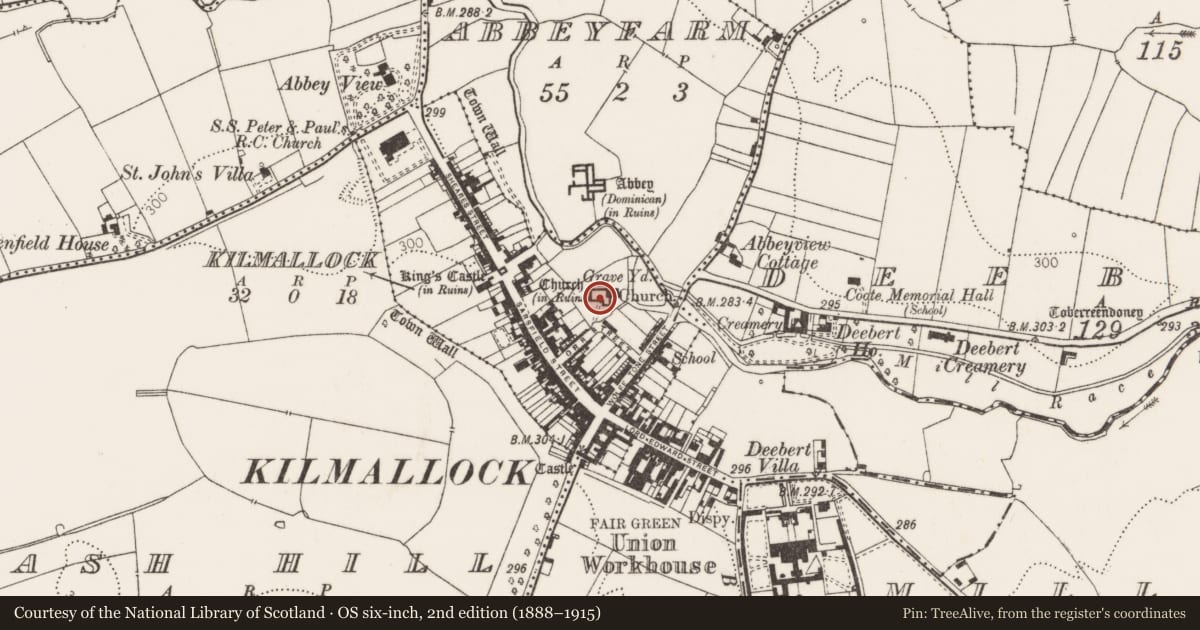 Ordnance Survey six-inch map, 2nd edition (1888–1915) covering the location of Memorial stone, Kilmallock, County Limerick, with a pin at the register's coordinates