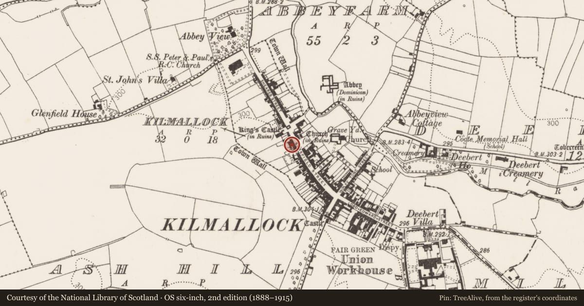 Ordnance Survey six-inch map, 2nd edition (1888–1915) covering the location of House - 16th/17th century, Kilmallock, County Limerick, with a pin at the register's coordinates