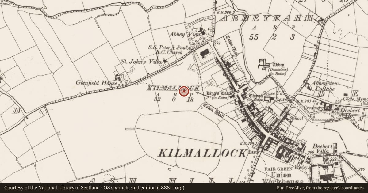 Ordnance Survey six-inch map, 2nd edition (1888–1915) covering the location of Megalithic structure, Ash Hill, County Limerick, with a pin at the register's coordinates
