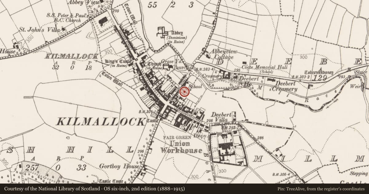 Ordnance Survey six-inch map, 2nd edition (1888–1915) covering the location of Excavation - miscellaneous, Kilmallock, County Limerick, with a pin at the register's coordinates