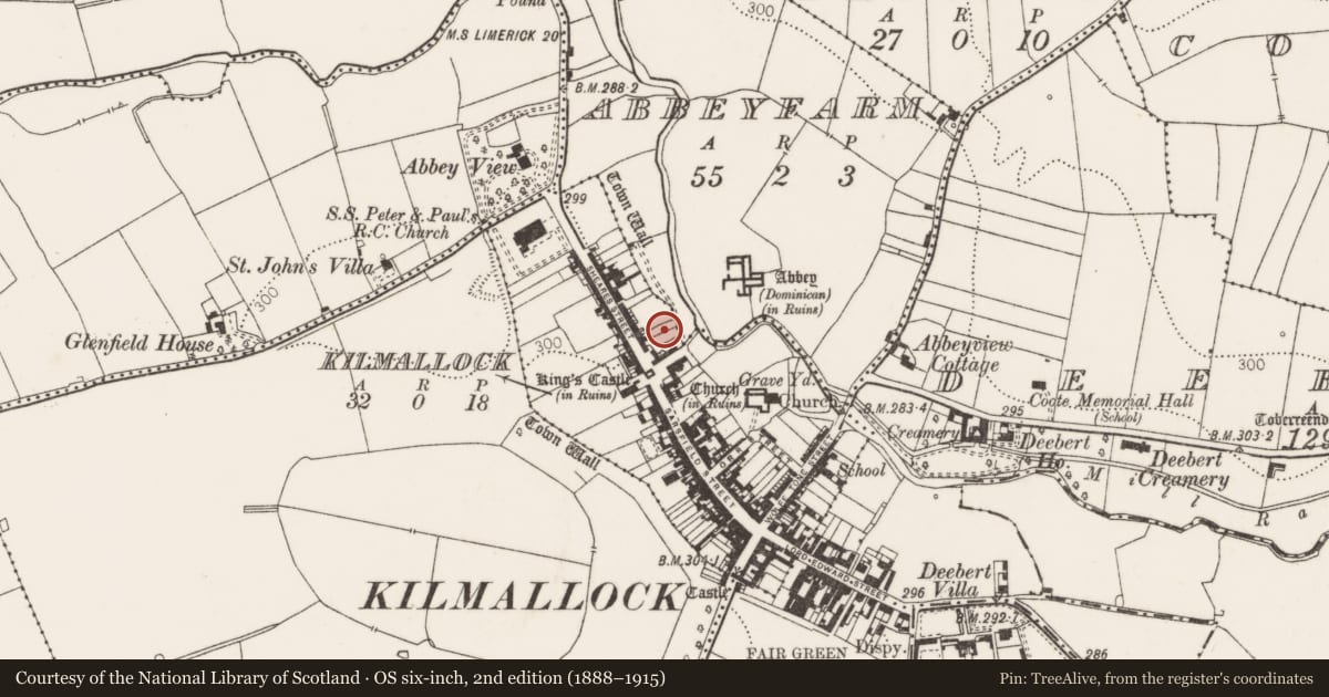 Ordnance Survey six-inch map, 2nd edition (1888–1915) covering the location of Excavation - miscellaneous, Kilmallock, County Limerick, with a pin at the register's coordinates