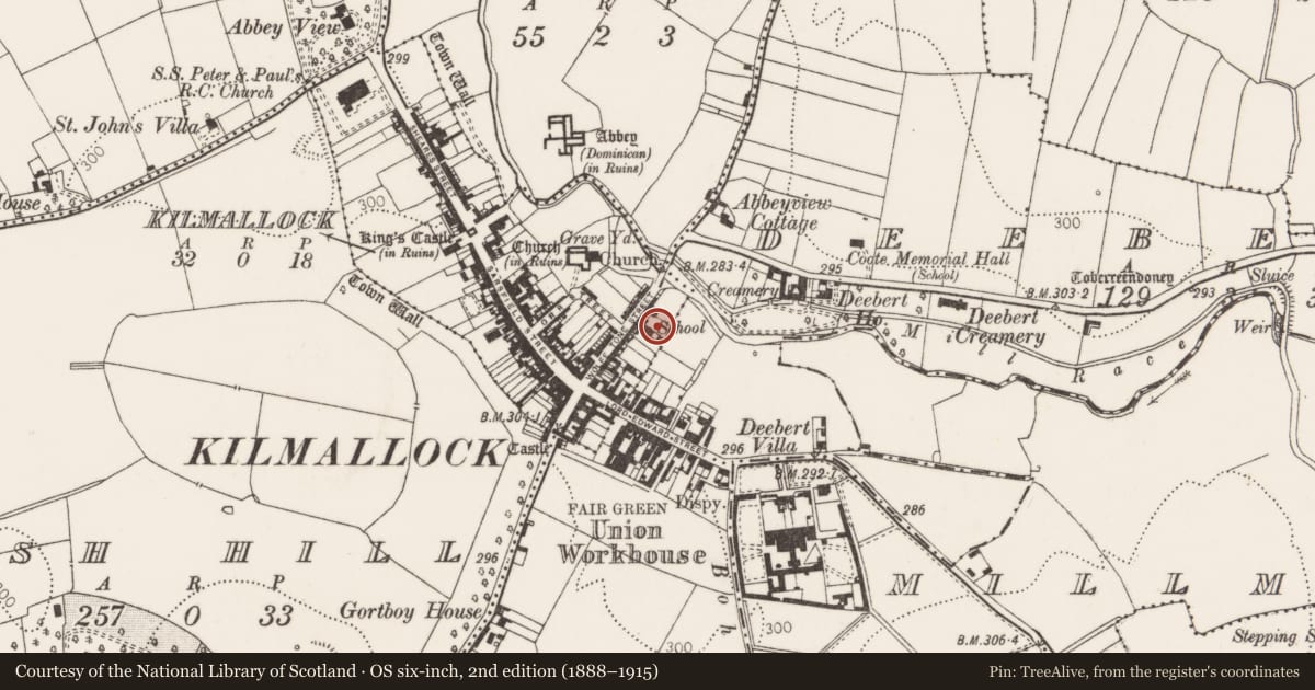 Ordnance Survey six-inch map, 2nd edition (1888–1915) covering the location of Excavation - miscellaneous, Kilmallock, County Limerick, with a pin at the register's coordinates