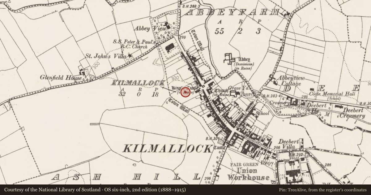 Ordnance Survey six-inch map, 2nd edition (1888–1915) covering the location of Excavation - miscellaneous, Kilmallock, County Limerick, with a pin at the register's coordinates