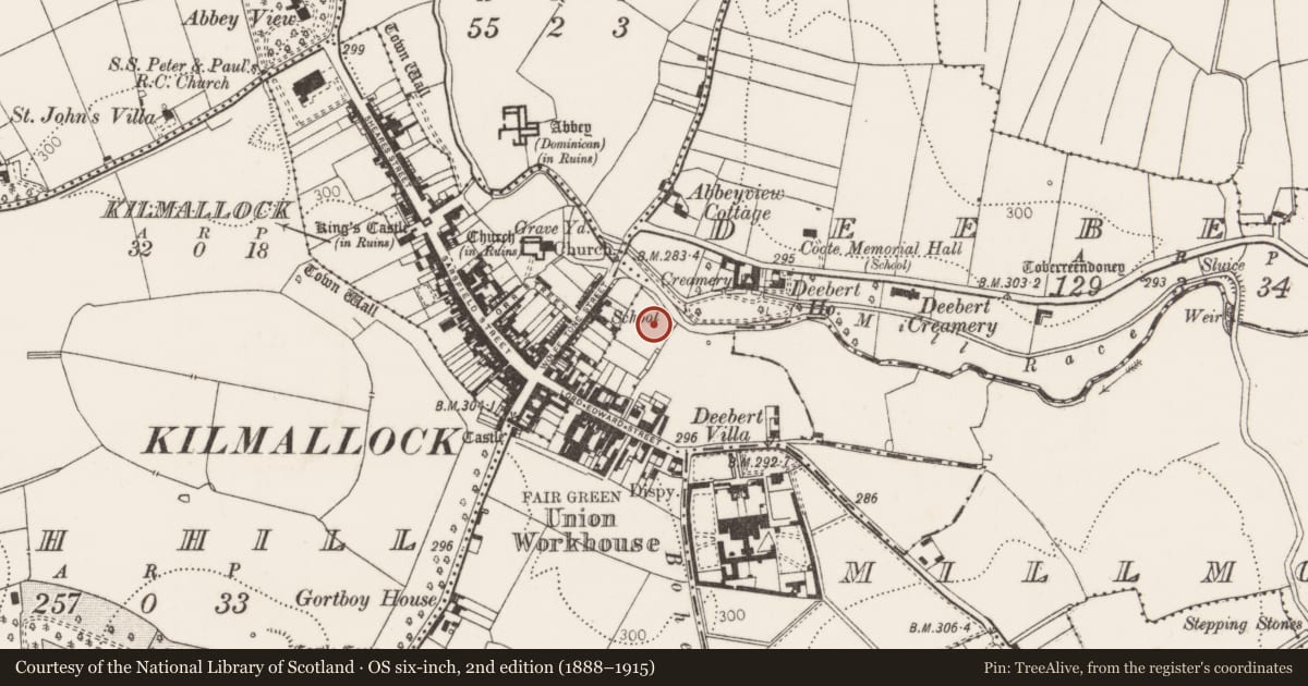 Ordnance Survey six-inch map, 2nd edition (1888–1915) covering the location of Excavation - miscellaneous, Kilmallock, County Limerick, with a pin at the register's coordinates