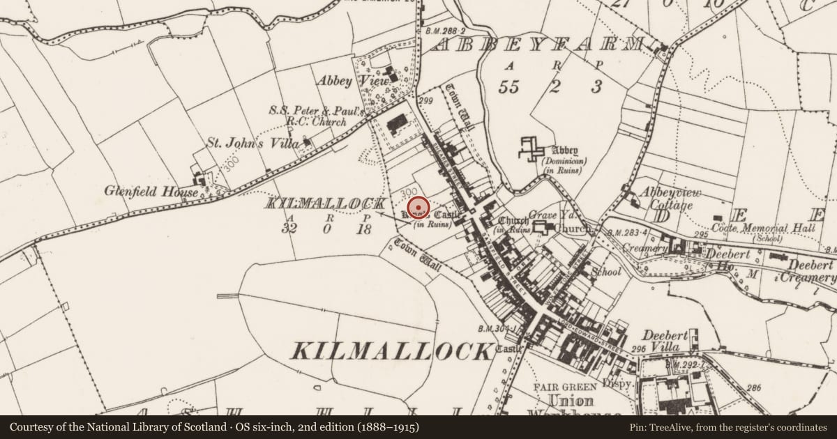 Ordnance Survey six-inch map, 2nd edition (1888–1915) covering the location of Excavation - miscellaneous, Kilmallock, County Limerick, with a pin at the register's coordinates