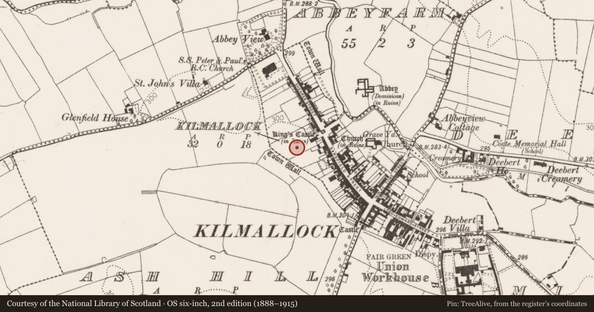 Ordnance Survey six-inch map, 2nd edition (1888–1915) covering the location of Excavation - miscellaneous, Kilmallock, County Limerick, with a pin at the register's coordinates