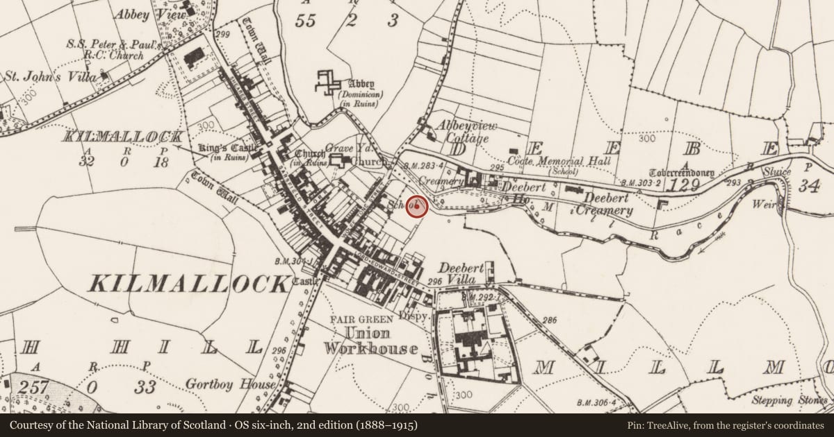 Ordnance Survey six-inch map, 2nd edition (1888–1915) covering the location of Excavation - miscellaneous, Kilmallock, County Limerick, with a pin at the register's coordinates