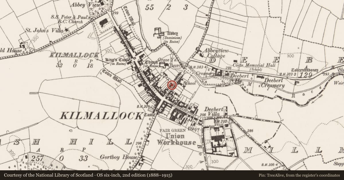 Ordnance Survey six-inch map, 2nd edition (1888–1915) covering the location of Excavation - miscellaneous, Kilmallock, County Limerick, with a pin at the register's coordinates