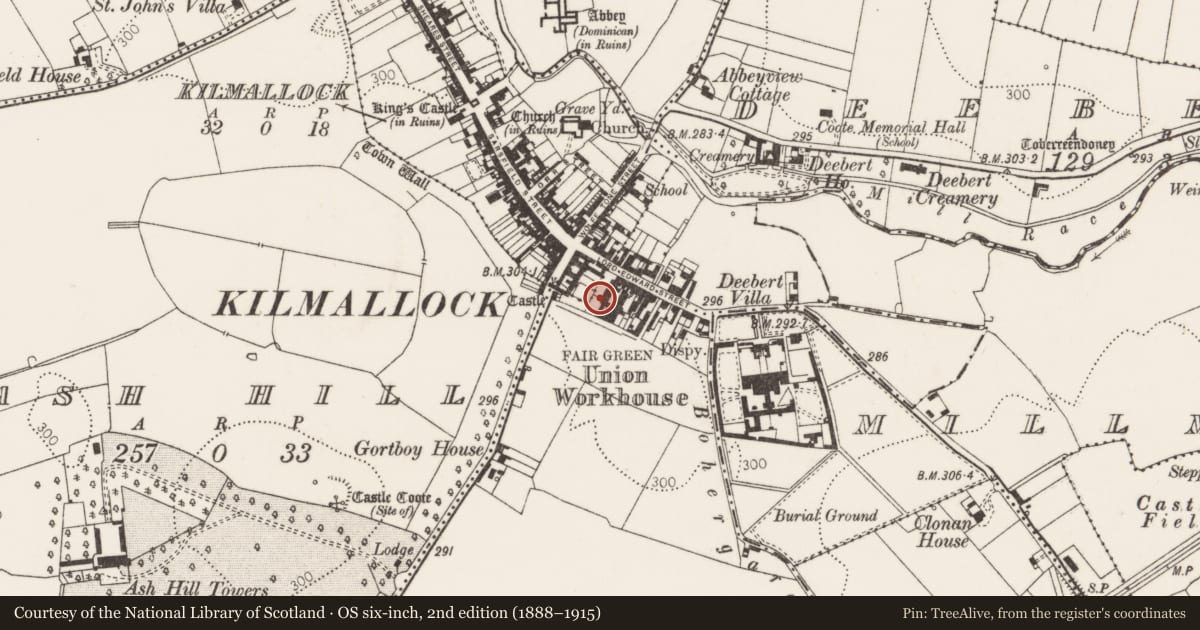 Ordnance Survey six-inch map, 2nd edition (1888–1915) covering the location of Excavation - miscellaneous, Kilmallock, County Limerick, with a pin at the register's coordinates
