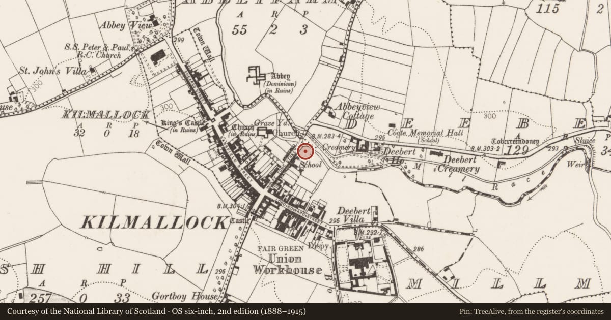 Ordnance Survey six-inch map, 2nd edition (1888–1915) covering the location of Excavation - miscellaneous, Kilmallock, County Limerick, with a pin at the register's coordinates
