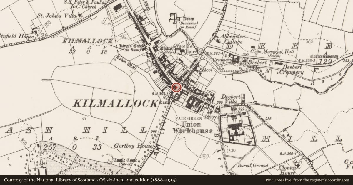 Ordnance Survey six-inch map, 2nd edition (1888–1915) covering the location of Excavation - miscellaneous, Kilmallock, County Limerick, with a pin at the register's coordinates
