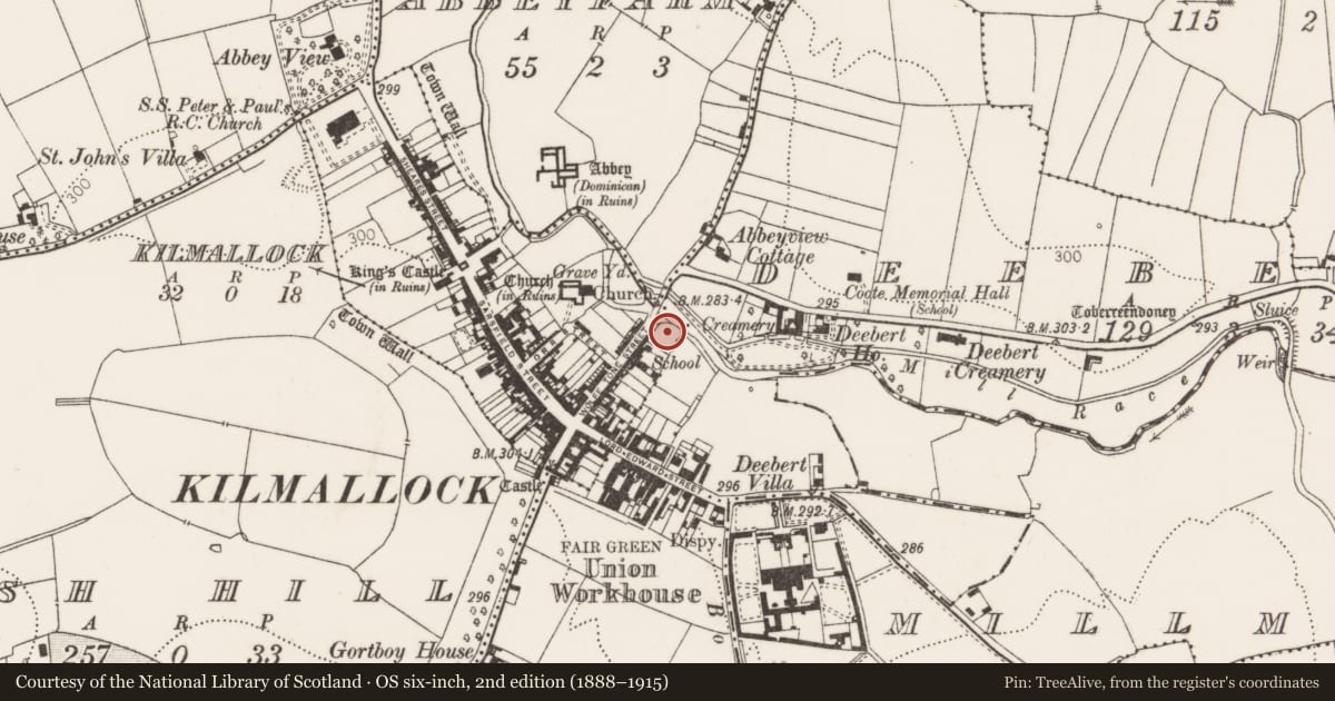 Ordnance Survey six-inch map, 2nd edition (1888–1915) covering the location of Excavation - miscellaneous, Kilmallock, County Limerick, with a pin at the register's coordinates