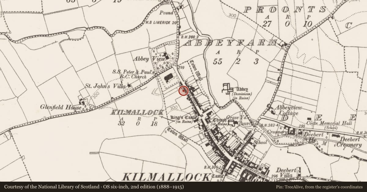 Ordnance Survey six-inch map, 2nd edition (1888–1915) covering the location of Excavation - miscellaneous, Kilmallock, County Limerick, with a pin at the register's coordinates