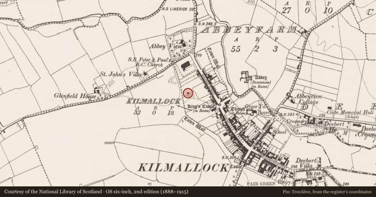 Ordnance Survey six-inch map, 2nd edition (1888–1915) covering the location of Excavation - miscellaneous, Kilmallock, County Limerick, with a pin at the register's coordinates