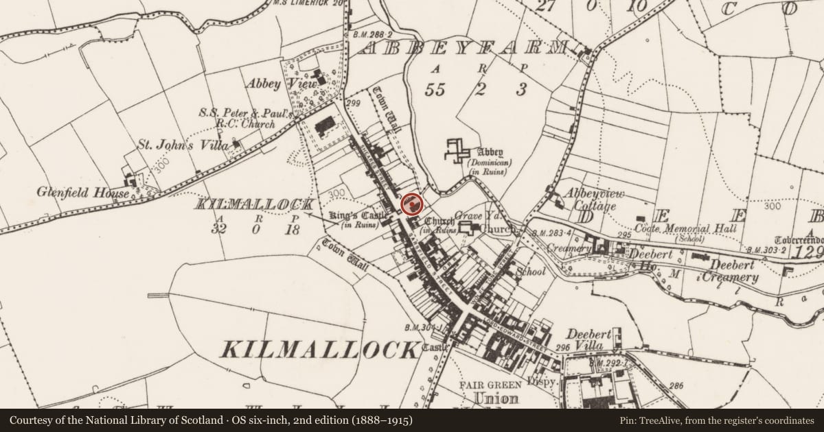 Ordnance Survey six-inch map, 2nd edition (1888–1915) covering the location of Excavation - miscellaneous, Kilmallock, County Limerick, with a pin at the register's coordinates