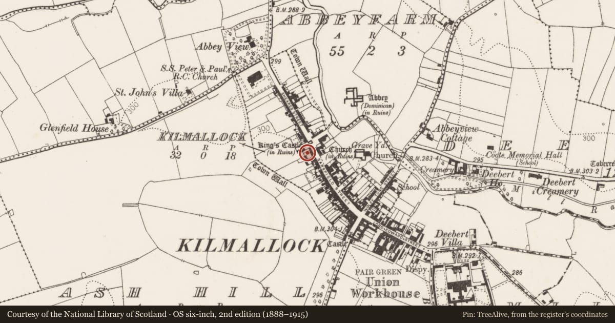 Ordnance Survey six-inch map, 2nd edition (1888–1915) covering the location of Excavation - miscellaneous, Kilmallock, County Limerick, with a pin at the register's coordinates