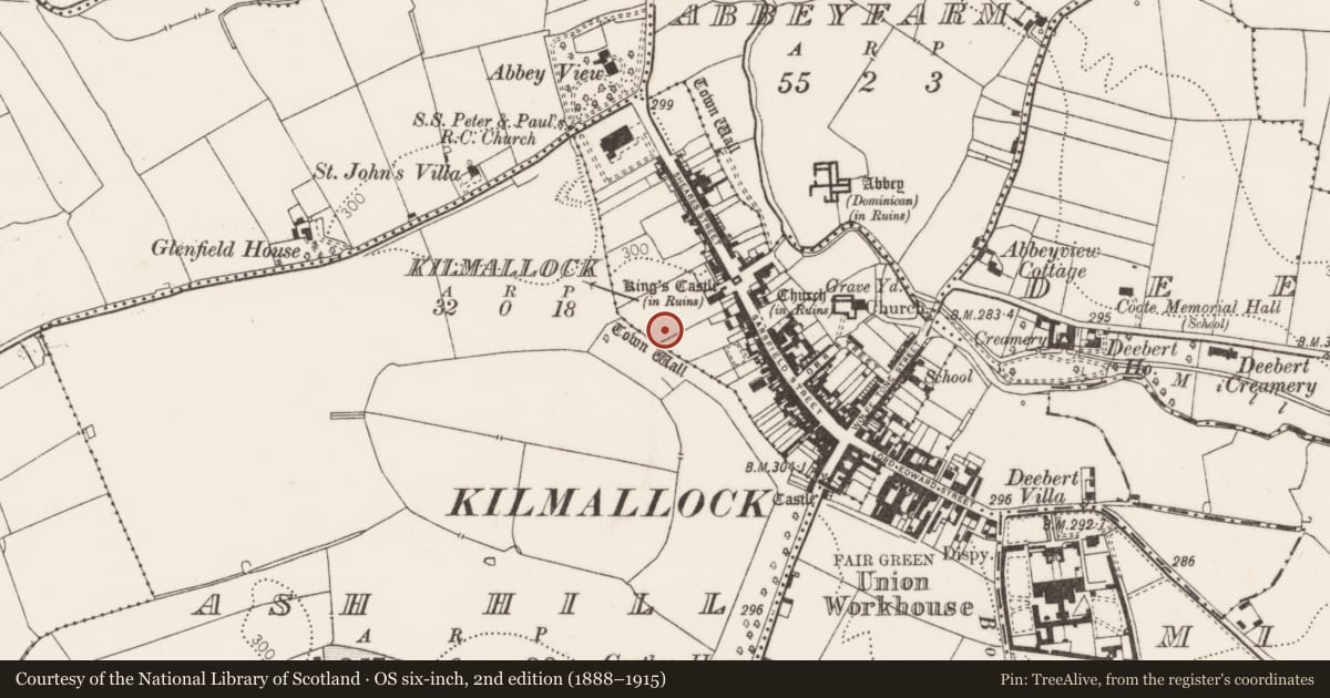 Ordnance Survey six-inch map, 2nd edition (1888–1915) covering the location of Excavation - miscellaneous, Kilmallock, County Limerick, with a pin at the register's coordinates