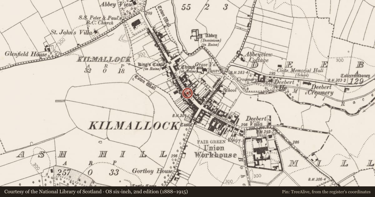 Ordnance Survey six-inch map, 2nd edition (1888–1915) covering the location of Well, Kilmallock, County Limerick, with a pin at the register's coordinates