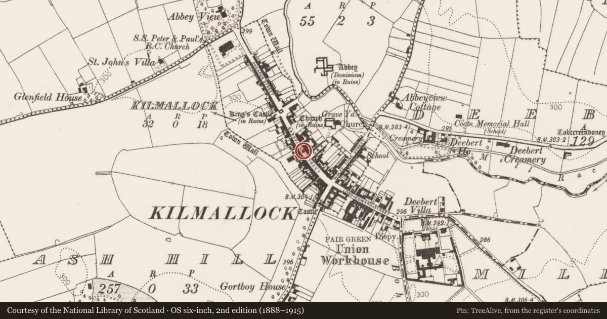 Ordnance Survey six-inch map, 2nd edition (1888–1915) covering the location of Excavation - miscellaneous, Kilmallock, County Limerick, with a pin at the register's coordinates