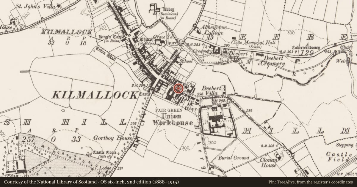 Ordnance Survey six-inch map, 2nd edition (1888–1915) covering the location of Excavation - miscellaneous, Kilmallock, County Limerick, with a pin at the register's coordinates