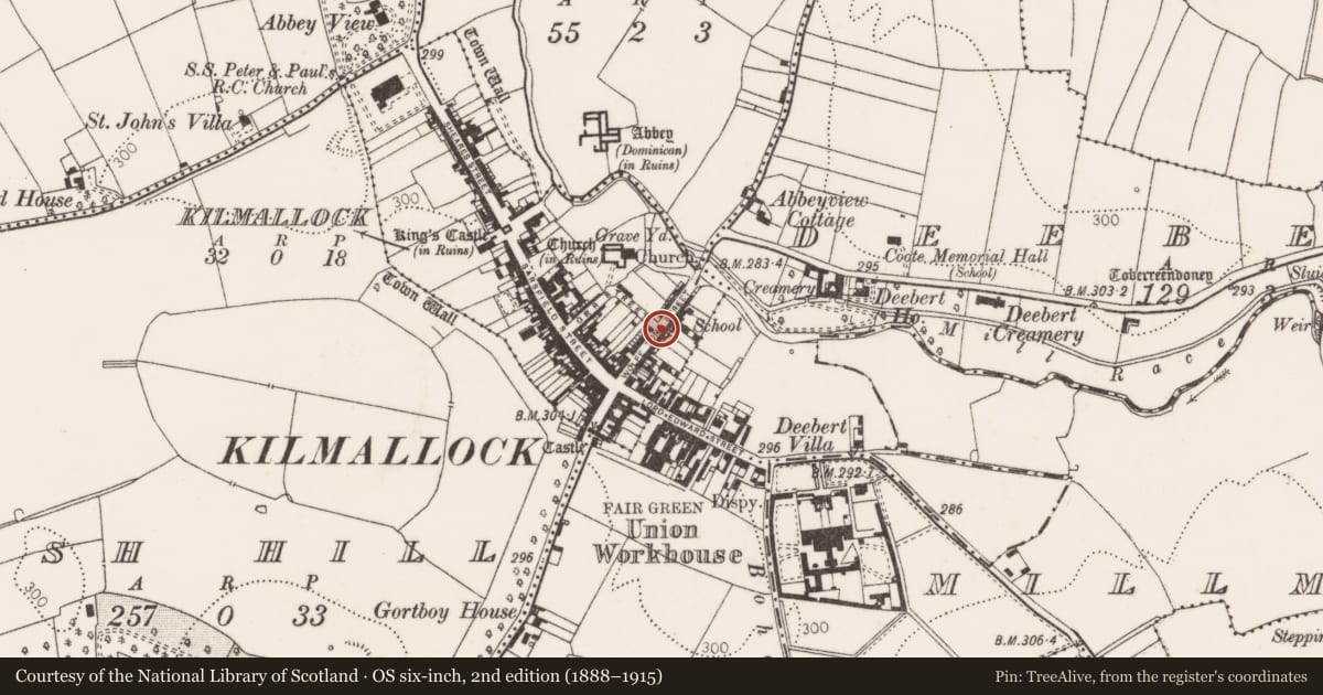 Ordnance Survey six-inch map, 2nd edition (1888–1915) covering the location of Excavation - miscellaneous, Kilmallock, County Limerick, with a pin at the register's coordinates