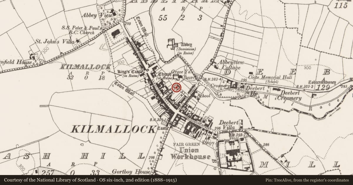 Ordnance Survey six-inch map, 2nd edition (1888–1915) covering the location of Excavation - miscellaneous, Kilmallock, County Limerick, with a pin at the register's coordinates
