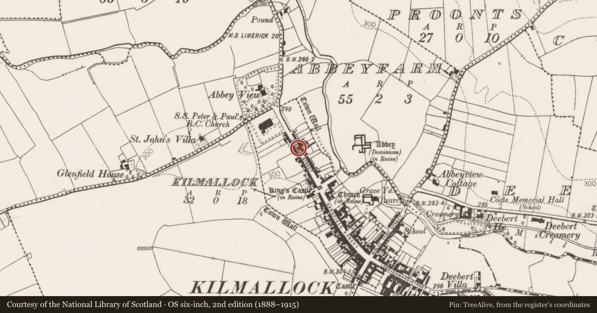 Ordnance Survey six-inch map, 2nd edition (1888–1915) covering the location of Excavation - miscellaneous, Kilmallock, County Limerick, with a pin at the register's coordinates