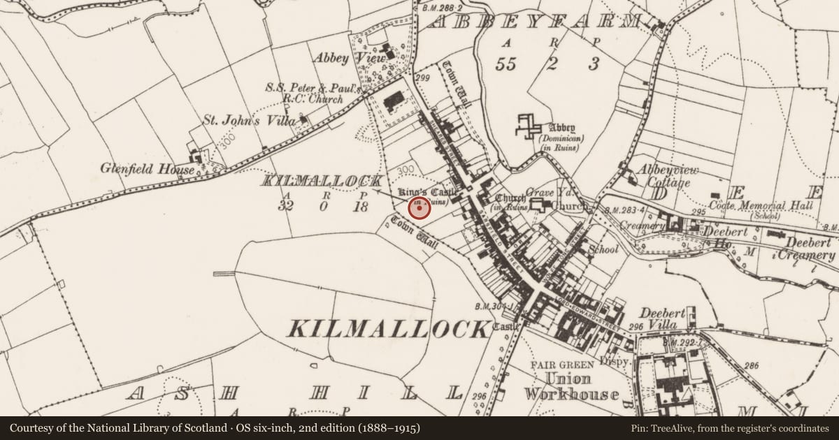 Ordnance Survey six-inch map, 2nd edition (1888–1915) covering the location of Excavation - miscellaneous, Kilmallock, County Limerick, with a pin at the register's coordinates