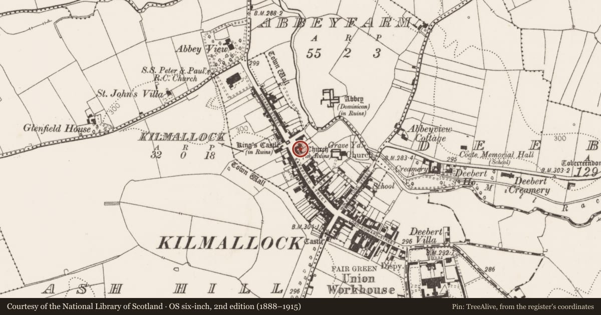 Ordnance Survey six-inch map, 2nd edition (1888–1915) covering the location of Excavation - miscellaneous, Kilmallock, County Limerick, with a pin at the register's coordinates