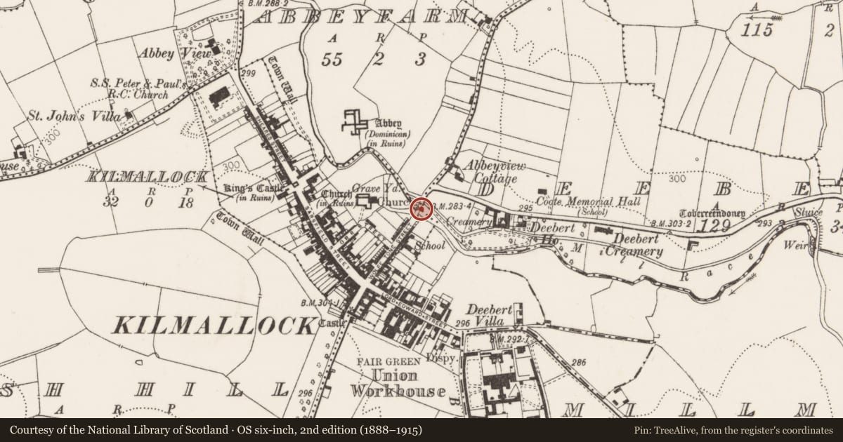 Ordnance Survey six-inch map, 2nd edition (1888–1915) covering the location of Bridge, County Limerick, with a pin at the register's coordinates