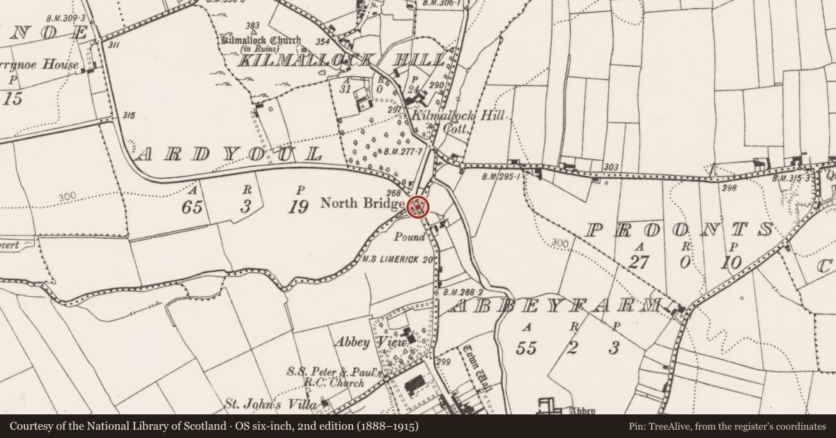 Ordnance Survey six-inch map, 2nd edition (1888–1915) covering the location of Bridge, County Limerick, with a pin at the register's coordinates