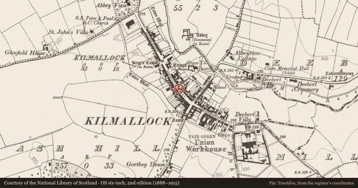 Ordnance Survey six-inch map, 2nd edition (1888–1915) covering the location of Cross - Market cross, Kilmallock, County Limerick, with a pin at the register's coordinates