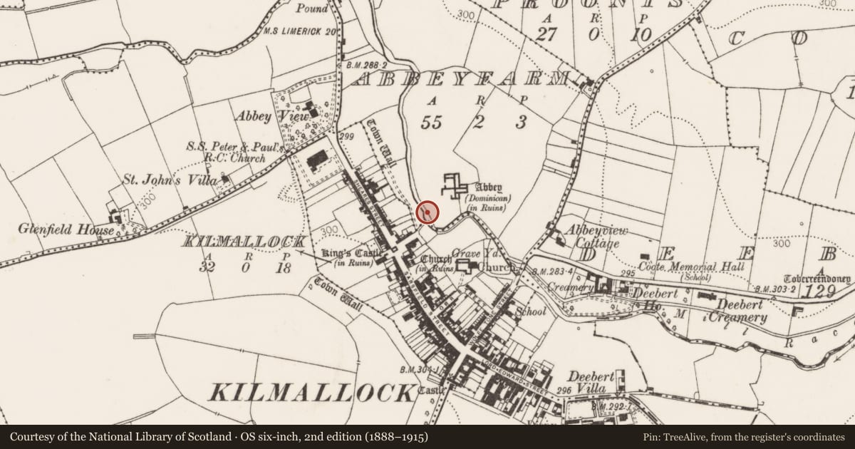 Ordnance Survey six-inch map, 2nd edition (1888–1915) covering the location of Bridge, Abbeyfarm, County Limerick, with a pin at the register's coordinates