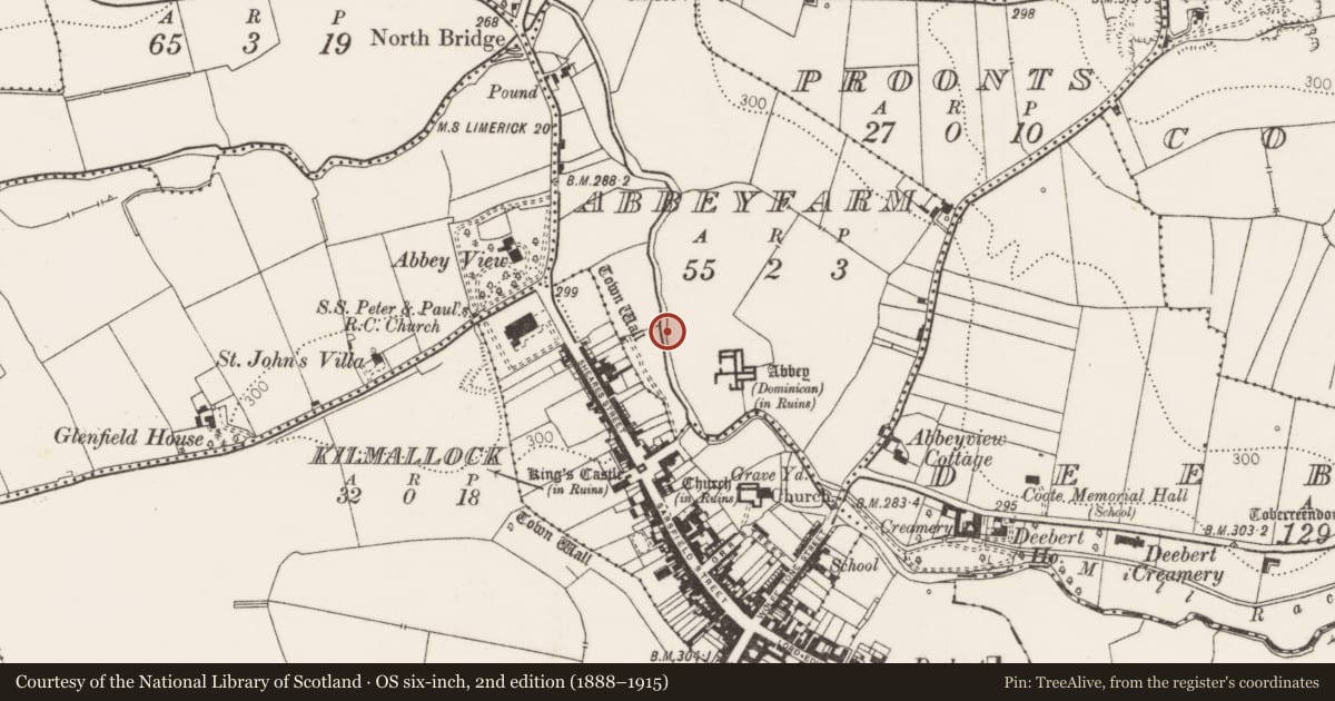 Ordnance Survey six-inch map, 2nd edition (1888–1915) covering the location of Water mill - unclassified, Abbeyfarm, County Limerick, with a pin at the register's coordinates