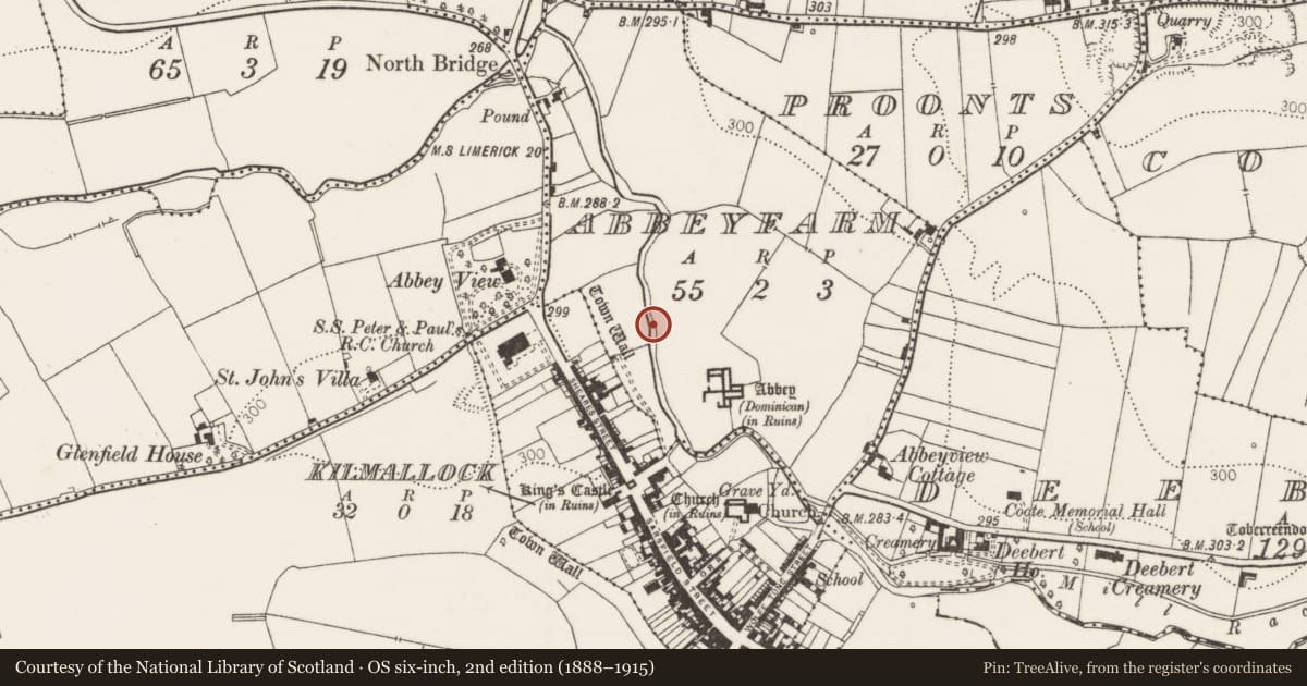 Ordnance Survey six-inch map, 2nd edition (1888–1915) covering the location of Water mill - unclassified, Abbeyfarm, County Limerick, with a pin at the register's coordinates