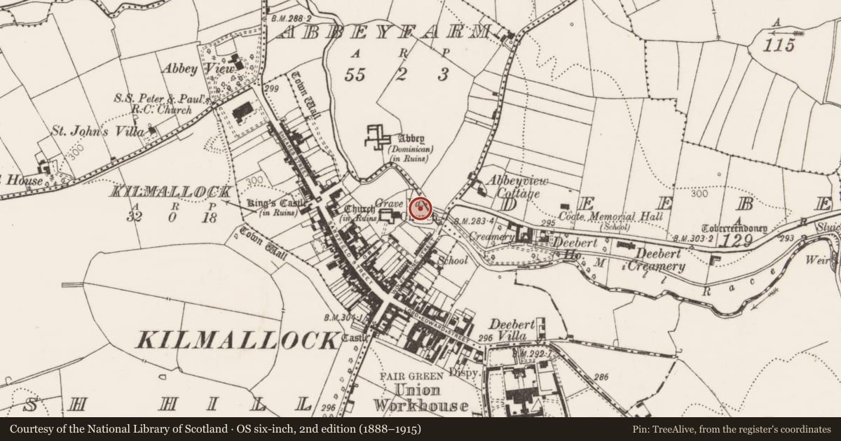 Ordnance Survey six-inch map, 2nd edition (1888–1915) covering the location of House - medieval, Kilmallock, County Limerick, with a pin at the register's coordinates