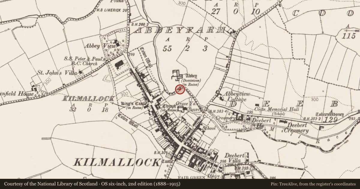 Ordnance Survey six-inch map, 2nd edition (1888–1915) covering the location of Bridge, Abbeyfarm, Kilmallock, County Limerick, with a pin at the register's coordinates