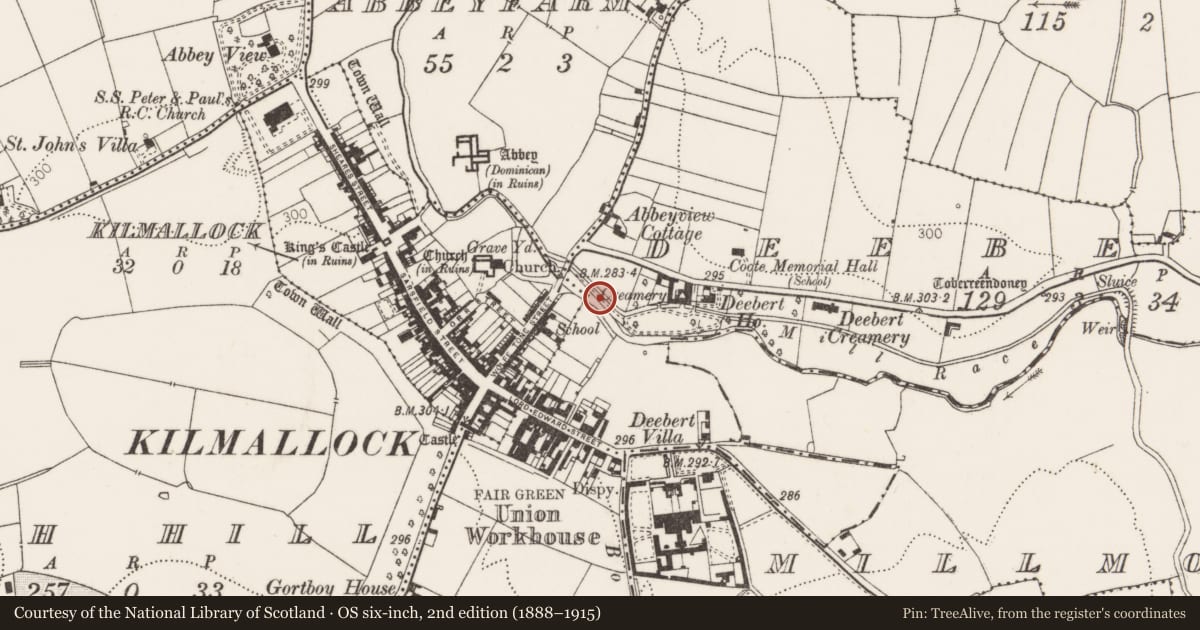 Ordnance Survey six-inch map, 2nd edition (1888–1915) covering the location of Water mill - unclassified, Deebert, County Limerick, with a pin at the register's coordinates