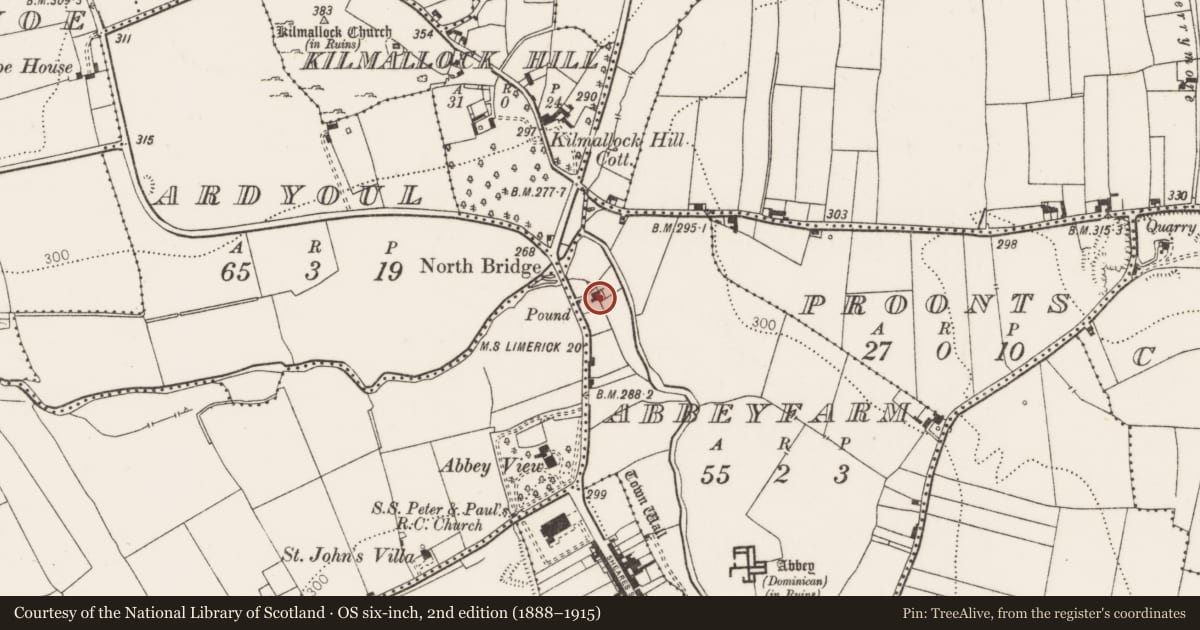 Ordnance Survey six-inch map, 2nd edition (1888–1915) covering the location of Water mill - unclassified, Abbeyfarm, County Limerick, with a pin at the register's coordinates