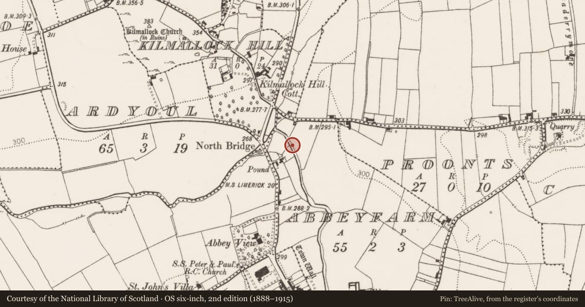 Ordnance Survey six-inch map, 2nd edition (1888–1915) covering the location of Water mill - unclassified, Abbeyfarm, County Limerick, with a pin at the register's coordinates