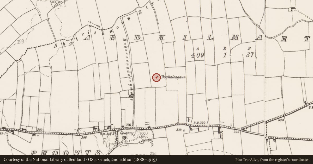 Ordnance Survey six-inch map, 2nd edition (1888–1915) covering the location of Standing stone, Ardkilmartin, County Limerick, with a pin at the register's coordinates