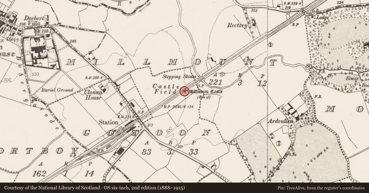 Ordnance Survey six-inch map, 2nd edition (1888–1915) covering the location of Castle - unclassified, Gotoon, County Limerick, with a pin at the register's coordinates
