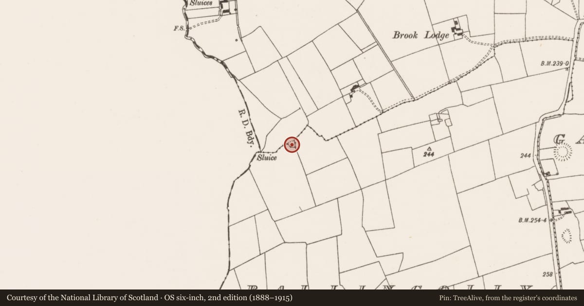 Ordnance Survey six-inch map, 2nd edition (1888–1915) covering the location of Earthwork, Ballynagoul, County Limerick, with a pin at the register's coordinates