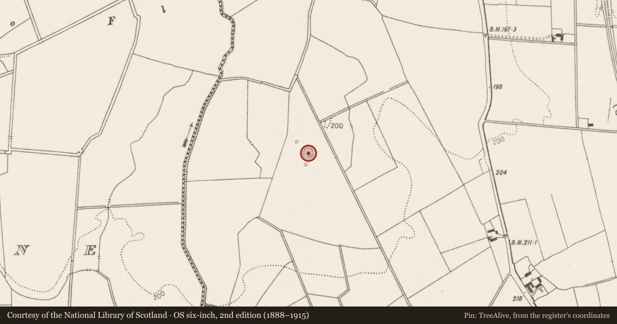 Ordnance Survey six-inch map, 2nd edition (1888–1915) covering the location of Moated site, Ballynagoul, County Limerick, with a pin at the register's coordinates