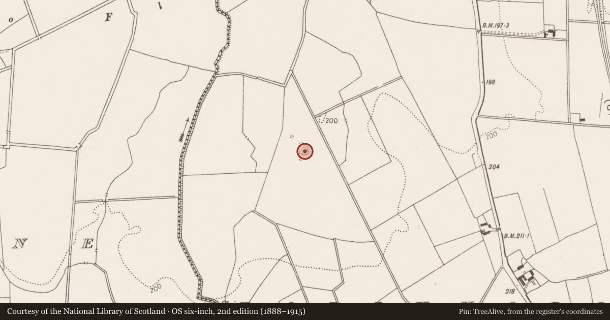 Ordnance Survey six-inch map, 2nd edition (1888–1915) covering the location of Ring-ditch, Ballynagoul, County Limerick, with a pin at the register's coordinates