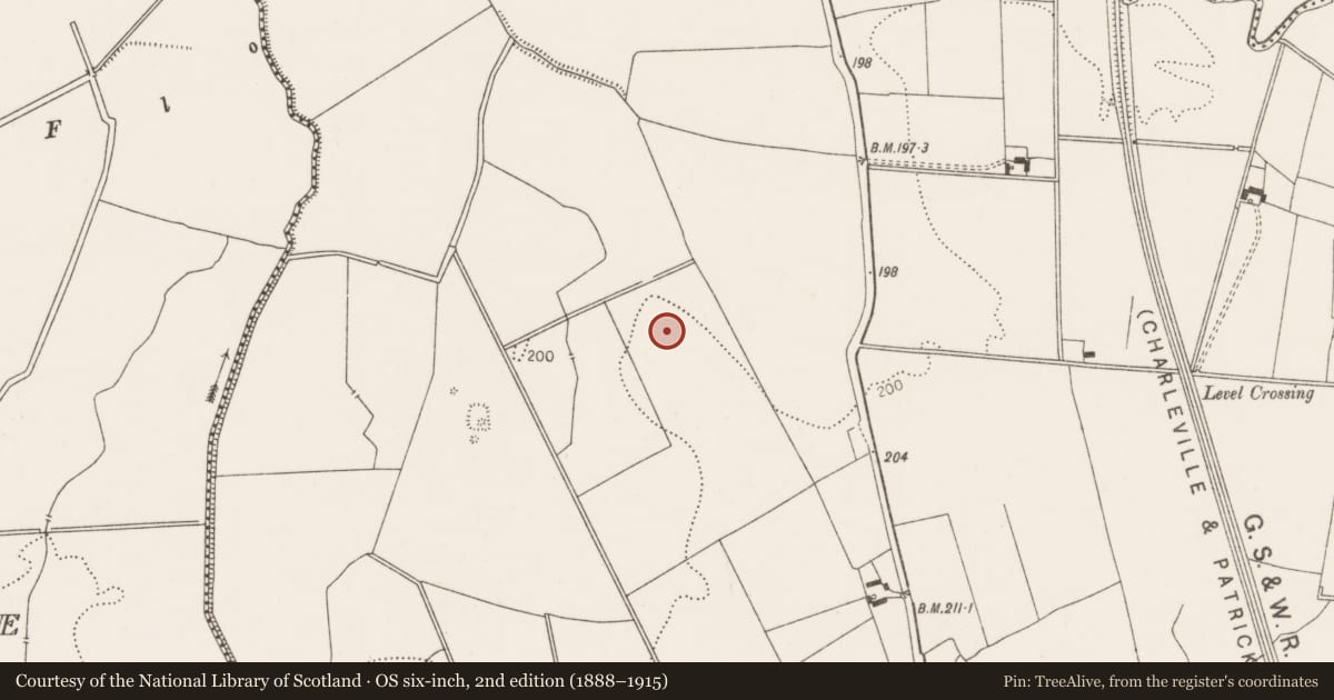Ordnance Survey six-inch map, 2nd edition (1888–1915) covering the location of Earthwork, Ballynagoul, County Limerick, with a pin at the register's coordinates