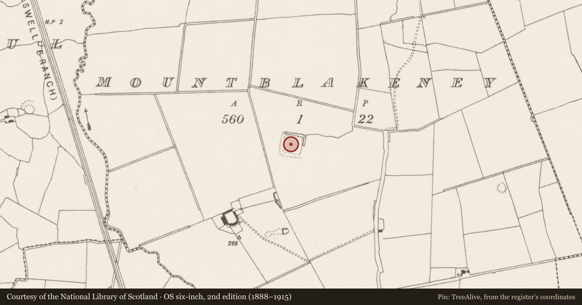 Ordnance Survey six-inch map, 2nd edition (1888–1915) covering the location of Moated site, Mountblakeney, County Limerick, with a pin at the register's coordinates